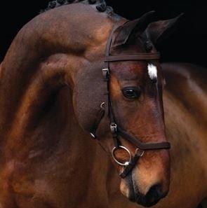 Rambo Micklem Competition Bridle