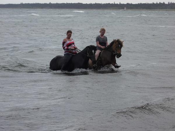 Hg mennesker mødes i ferien?