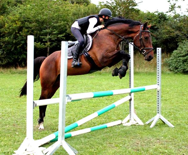 Springmetode der hæves 10 cm??