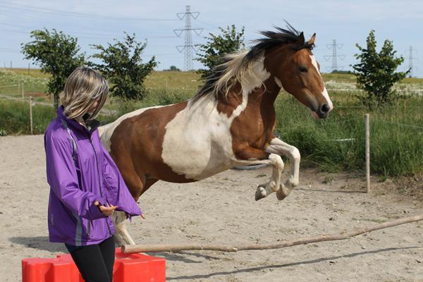 Maling af striber - hvilken?