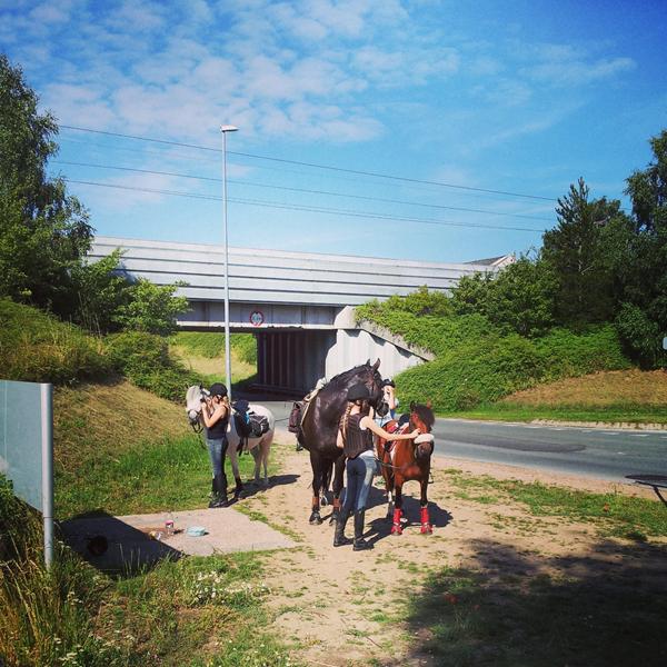 Drømmen om at ride på Hærvejen i flere dage