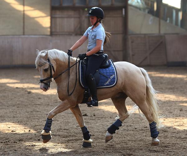 Hvad hedder den her RBH farve ? 