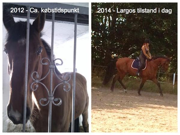 Forandring fryder - Glædes indlæg