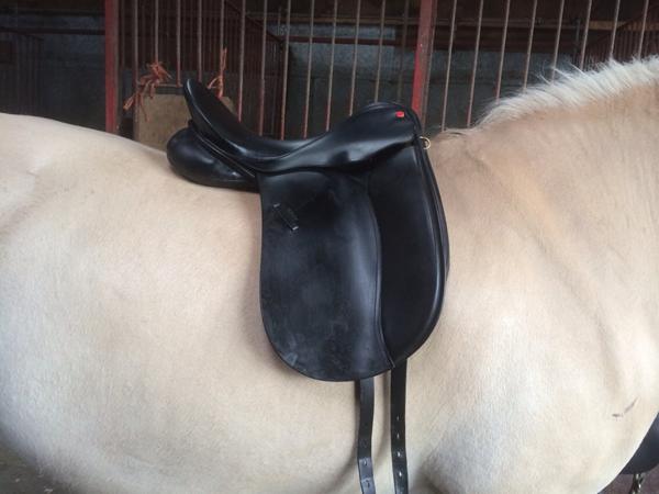 Sadel til jeres fjordhest