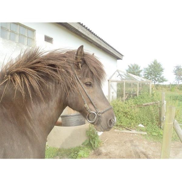 Se lige min dreng!! - vis jeres :-)