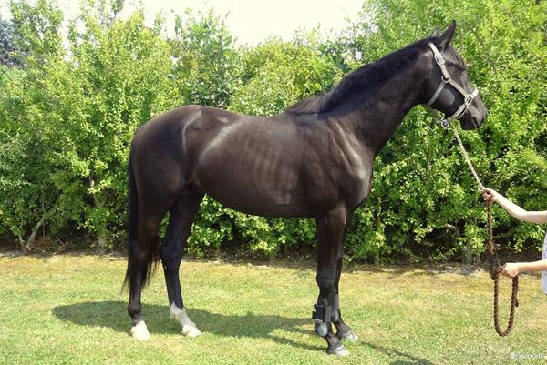 fra 0 til 2 år, sikke en udvikling :)