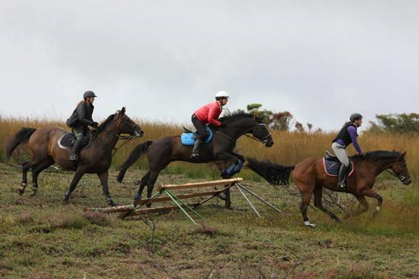 Jagt i Dollerup Bakker *Midtjylland*