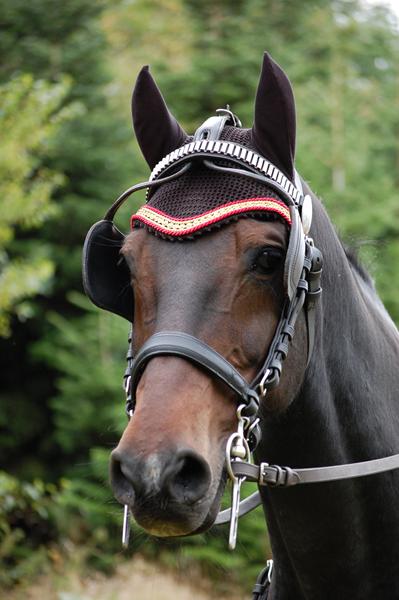 Ny hut... med lidt bling