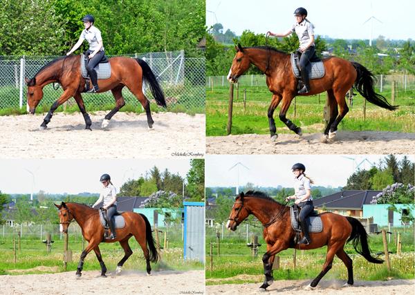 Min historie - handicap/hest