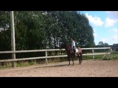 Hjælp til Redigering af billede :-)