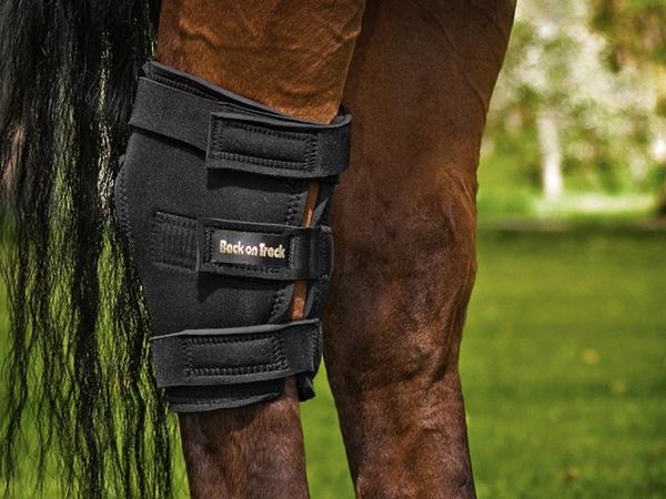 knæskalslåsning og Back on Track