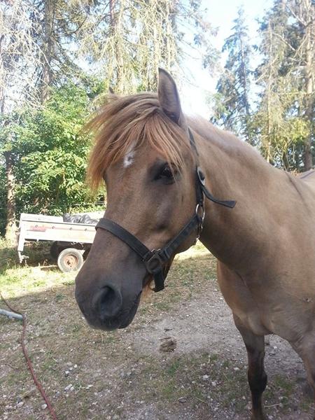 Dækken/grime størrelse? :)