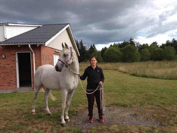 Skimmel med bagsokker