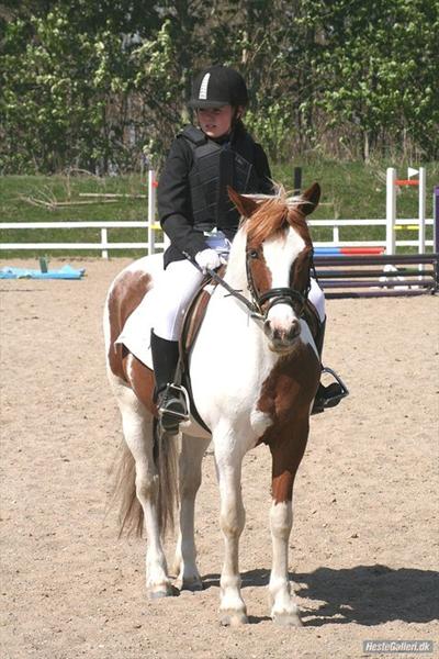 Jeg vil finde min bedsteven igen !