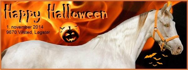 Halloween aften ved Løgstør