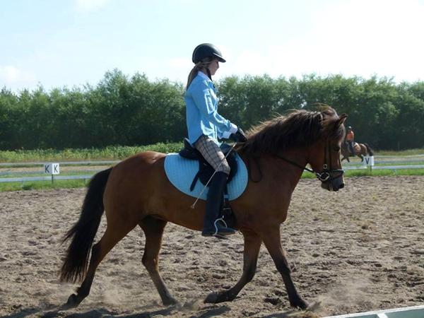 Wintec wide kombisadel/ny sadel?