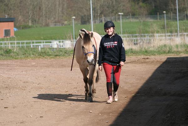 Hvor meget laver i på en dag? :)