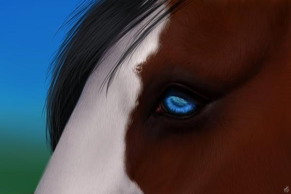 Ny tegning - Hesteøje. 