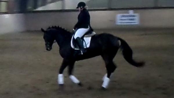 HJÆLP..Regionsstævne i Holstebro i dag.