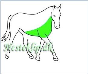 Kan hun godt gå uden dækken?