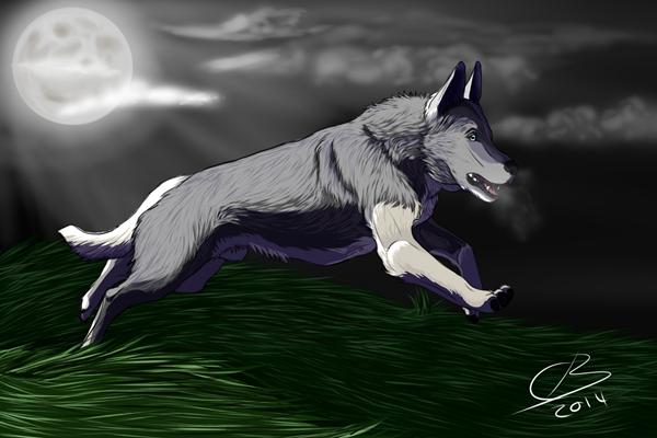 Nyeste computer tegning