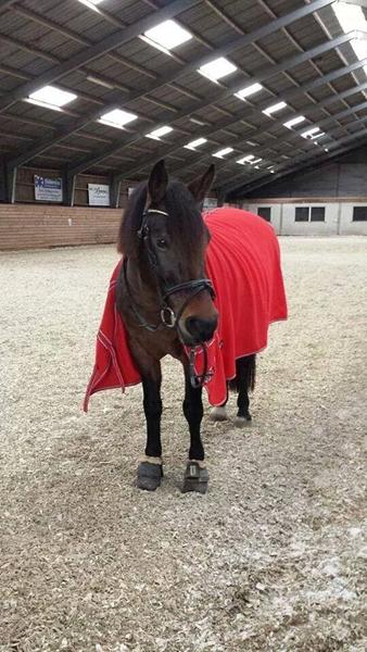 Udfordringer og bedømmelser kom frisk folkens :D