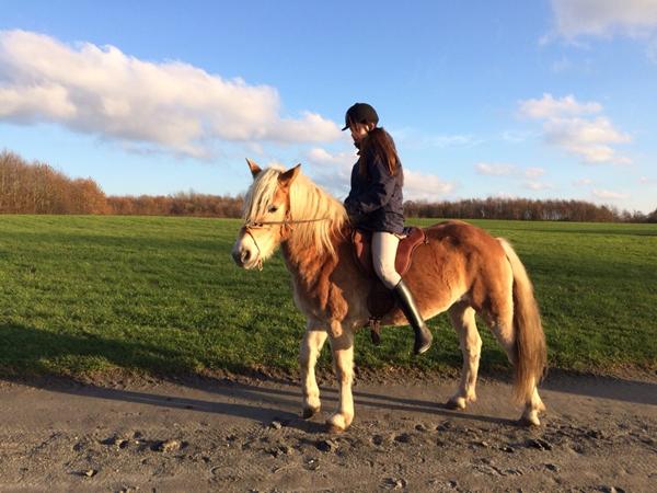 Forskel på ride on pads?