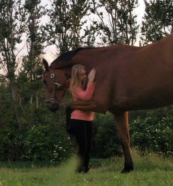 Udlån af hest? Erfaringer osv? 