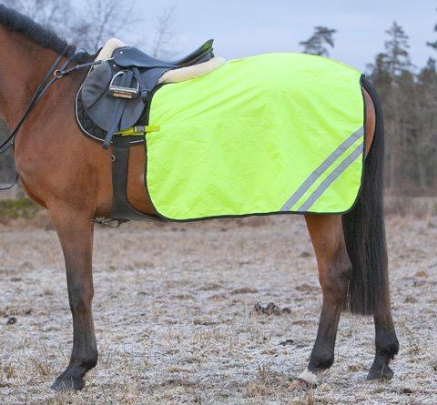 Lændedækken eller skridttæppe?