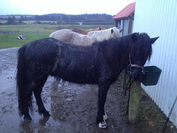 Vis mig jeres farveveksler! :)