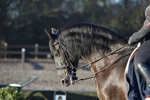 Skal / Skal ikke rykke man..?