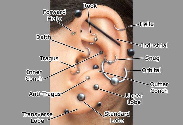 Gode steder at købe helix piercing stav?