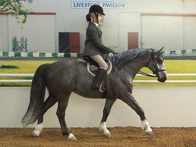 sælges hurtigst muligt (LEG)