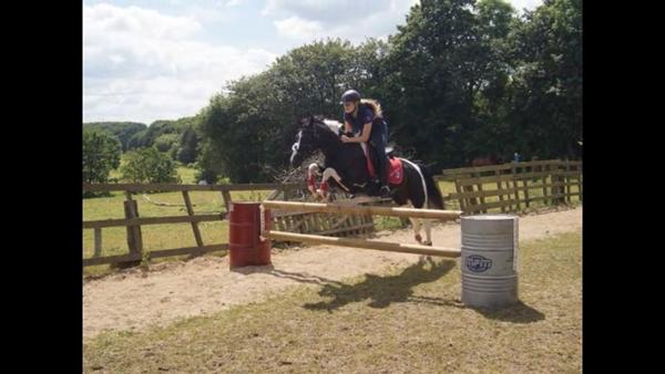 HG's Spring pony/hest! Konkurrence :) 