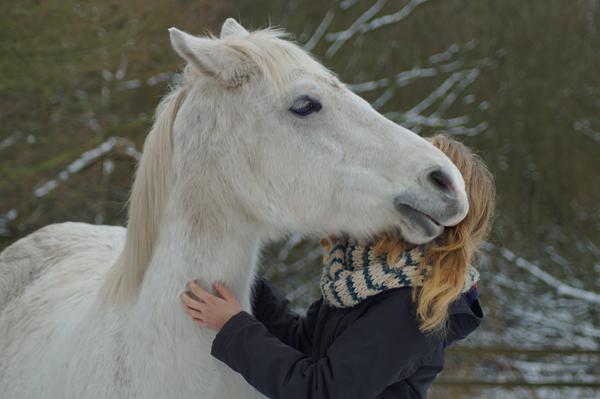 Glædesemne + spørgsmål vedr. lånehest