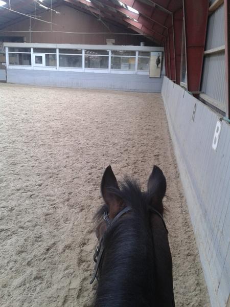 søger treringsbid:-D