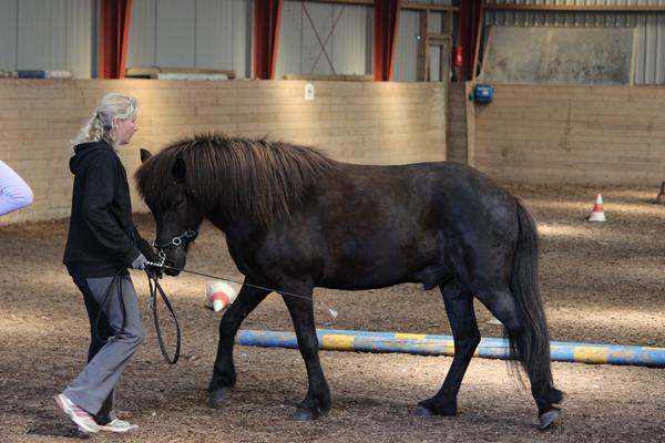 Hvor mange kg må han bære?