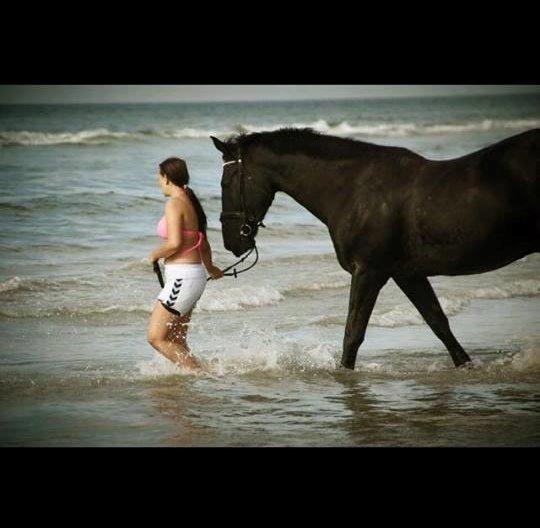 SWEET SIXTEEN - Hjælp!