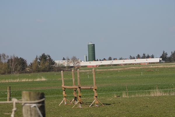 Hvad er hjemmelavede spring værd? 