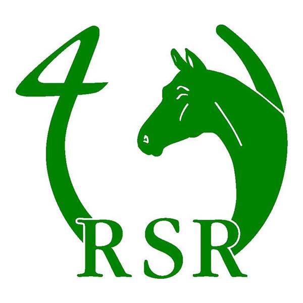 RSR4 D-stævne dressur m. RSR4 holdcup
