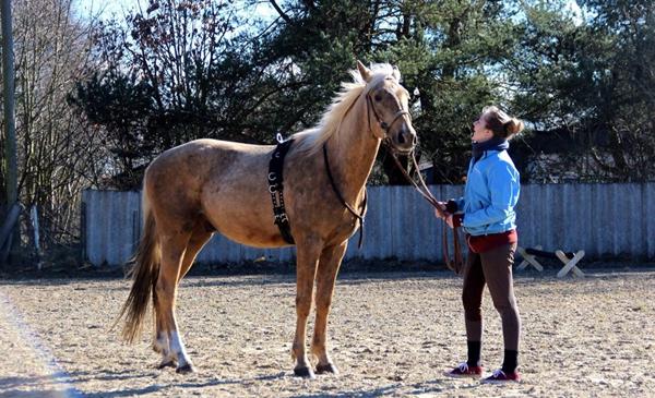 Er han ved at skifte farve?