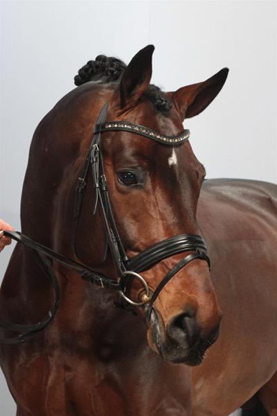 Afkom efter ShowTime