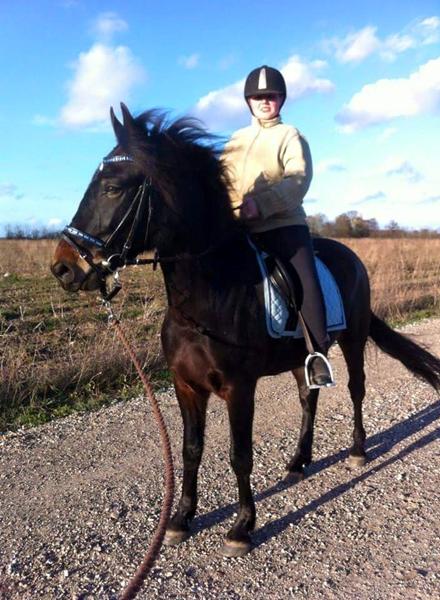 ride makker i Horsnes