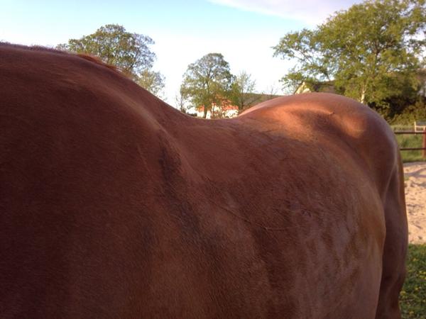 Billede: din umiddelbare reaktion?