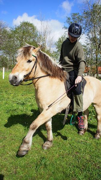 Når kæresten rider