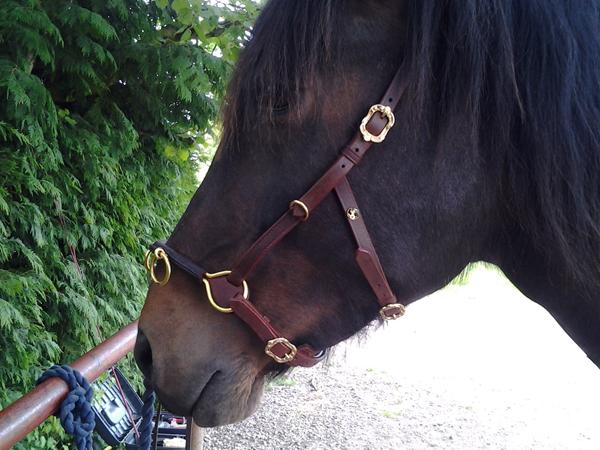 Sidder den rigtigt? (Kapsun)