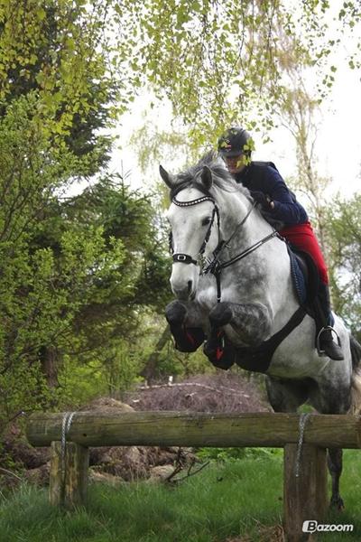 Hvad vil du give for min hest?