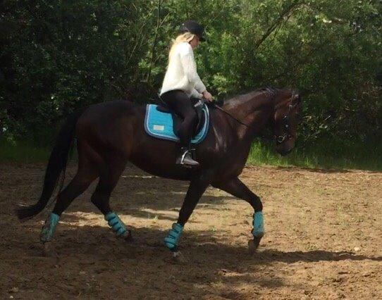 Berider på Sjælland?