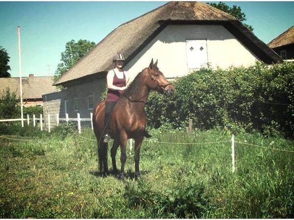 Konflikt: Bid eller ej... 