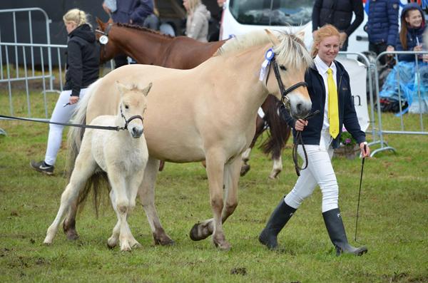 Lamhaves Zoey fik en lillebror :)